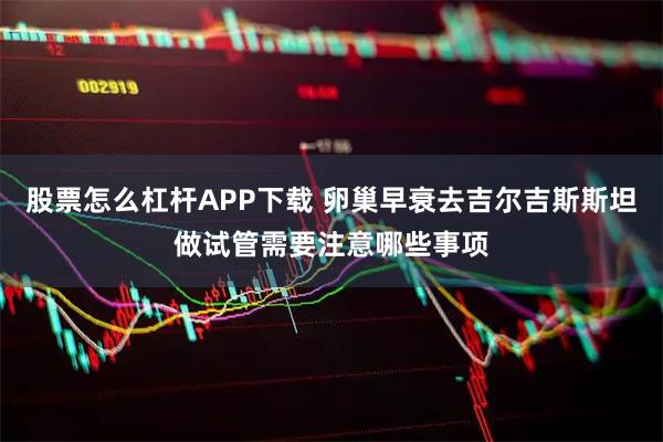 股票怎么杠杆APP下载 卵巢早衰去吉尔吉斯斯坦做试管需要注意哪些事项