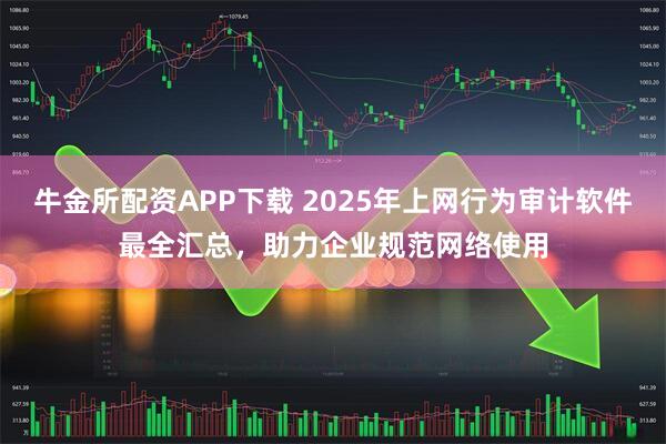 牛金所配资APP下载 2025年上网行为审计软件最全汇总，助力企业规范网络使用