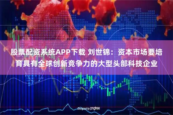 股票配资系统APP下载 刘世锦：资本市场要培育具有全球创新竞争力的大型头部科技企业