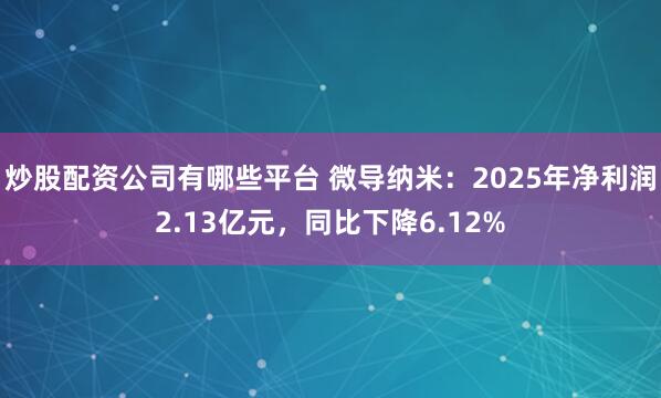 炒股配资公司有哪些平台 微导纳米：2025年净利润2.13亿元，同比下降6.12%